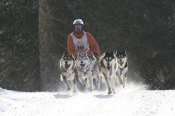San Bernardino 2008